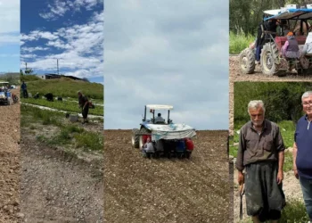 Adıyaman’da tütün üreticisine büyük darbe: “Bu fiyat alın terine ihanettir!”