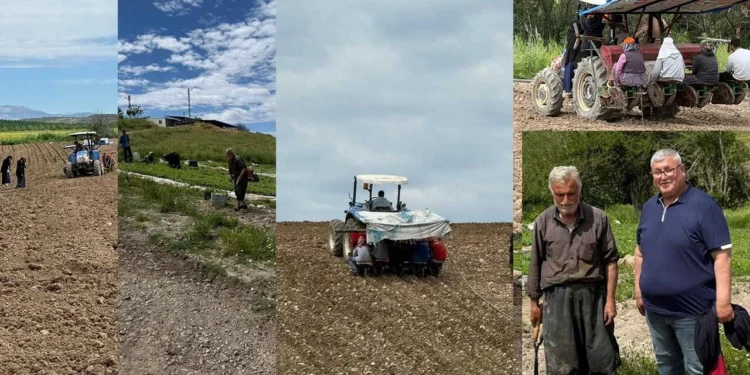 Adıyaman’da tütün üreticisine büyük darbe: "Bu fiyat alın terine ihanettir!" 1 tutun