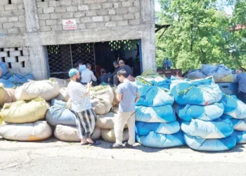 Çay hasadını durdurun