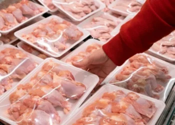 Ette fiyat artışlarının temel nedeni üretim maliyetleri