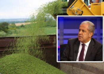 Şamil Tayyar: Üretici Maliyet Nedeniyle Bezelyeyi Tarlada Bıraktı