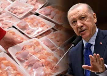 Kulis: Tavuk şirketlerine operasyon sektörün tepkisini çekti; konunun iletildiği Erdoğan, Adalet Bakanlığı’nı uyardı