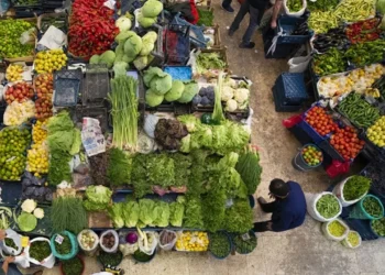 Yaş meyve sebze ihracatı mayısta yüzde 14 arttı: En büyük pazar neresi?