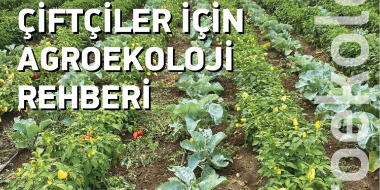 İklim Dostu Çiftlikler ve Çiftçiler için Agroekoloji Rehberi 1 agroekoloji kitap