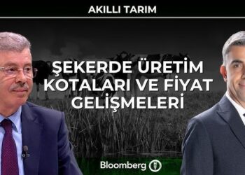 Akıllı Tarım – Şekerde Üretim Kotaları ve Fiyat Gelişmeleri