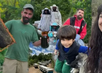 Boğaziçi’nde okudu, ‘arı çobanlığı’ yapıyor! ‘Talebi fark edip işe 40 kovanla başladım’