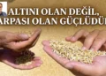 Altını olan değil, arpası olan güçlüdür 3 Altını olan değil, arpası olan güçlüdür