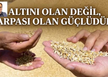 Altını olan değil, arpası olan güçlüdür
