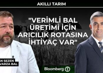 Akıllı Tarım – “Verimli Bal Üretimi İçin Arıcılık Rotasına İhtiyaç Var”