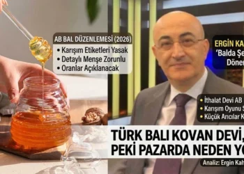 Avrupa’nın balda “şeffaflık” devrimi: Peki, kovan devi Türkiye neden oyunda yok?