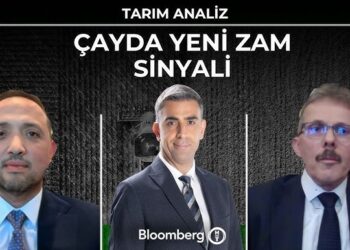 Tarım Analiz – Çayda Yeni Zam Sinyali