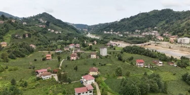 cayliklara maden kiskaci