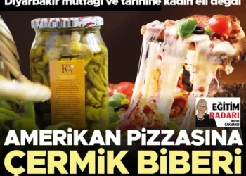 Amerikan pizzasına Çermik Biberi... Diyarbakır mutfağı ve tarihine kadın eli değdi 2 Amerikan pizzasına Çermik Biberi… Diyarbakır mutfağı ve tarihine kadın eli değdi