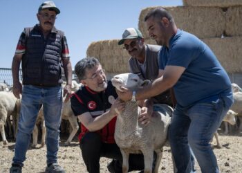 Kırsalda Küçükbaş Hayvancılığa Dev Destek! Bakan Yumaklı İlk Teslimatları Polatlı’da Yaptı!