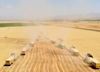 Edirne Ovası'nda hasat başladı: Kuraklık kabusu bitti, yüzler güldü! - Cumhuriyet