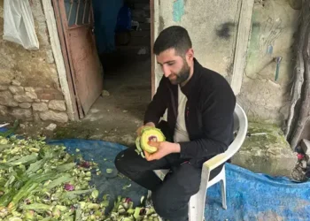 Ayda 240 bin lira kazandıran meslek! Bursa’da sezon başladı, ustalar yetişemiyor