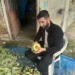 Ayda 240 bin lira kazandıran meslek! Bursa'da sezon başladı, ustalar yetişemiyor 9 Ayda 240 bin lira kazandıran meslek! Bursa’da sezon başladı, ustalar yetişemiyor