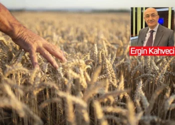Ergin Kahveci’den İngiltere’nin 25 yıllık "Tarım Yol Haritası"na dikkat: Ankara 20 yıldır neyi bekliyor? - Tarımdan Haber