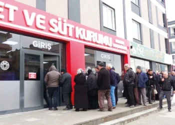 Et ithalatçısı kârı büyüttü