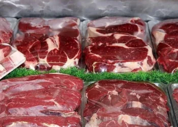 TÜKETBİR: Gelir garantili besicilik fiyat dalgalanmalarını azaltacak