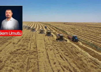 Çiftçi kuruluşlarında ‘böl, parçala, yönet’ stratejisi: Aynı buğdaya iki farklı dünya!