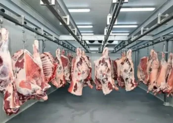 Kırmızı et piyasasında "fiyatlama krizi": Besici kesim fiyatlarındaki düşüşe isyan ediyor! - Tarımdan Haber