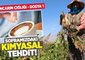 Pancarın çığlığı: Şekerin 'gizli' istilası ve sofralarımızdaki kimyasal tehdit 1 Pancarın çığlığı: Şekerin ‘gizli’ istilası ve sofralarımızdaki kimyasal tehdit