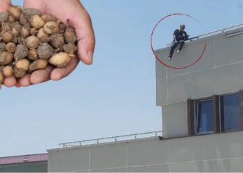 Topladığı salepler başına dert oldu; Milyonluk ceza sonrası soluğu çatıda aldı