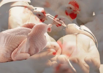 Beyaz et sektöründe deprem büyüyor! Ücretleri ödenmemiş