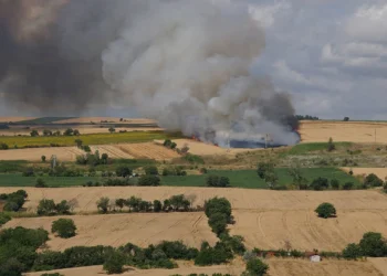 Tekirdağ'da 100 dekar buğday ekili alan yandı - BirGün