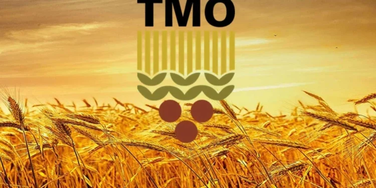 TMO hububat alım fiyatları için kritik hafta: Çiftçinin gözü Haziran ilk haftasında 1 tmo