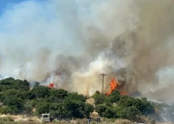 Çanakkale’de bozuk ormanda yangın