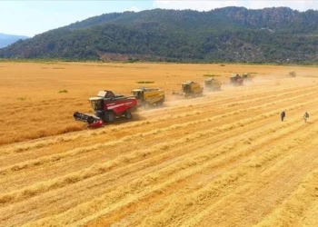 AB’den Türk tarım ürünlerine sıkı denetim, ihracatı zorluyor