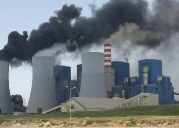 Afşin-Elbistan A Termik Santrali’nin ek ünitelerine verilen ÇED olumlu kararına iptal
