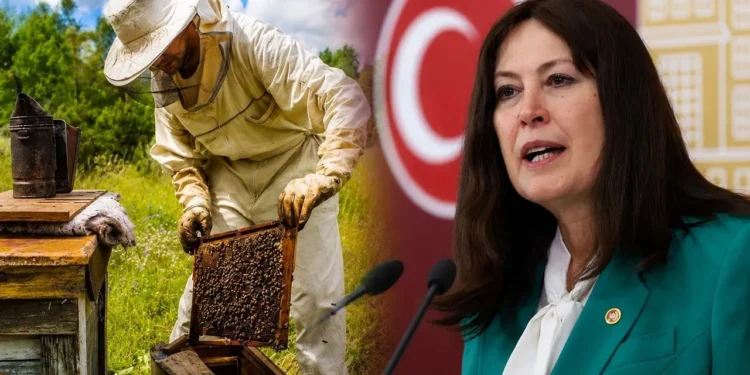 Devletin verdiği destek geri mi alınıyor? Arıcılardan 100 TL isyanı Meclis'te 1 Aricilardan 100 TL isyani