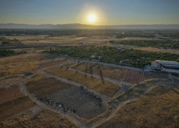 Dünya bu meyvenin peşinde koşuyor: Türkiye’de 9 milyon ağaçta 32 çeşit yetişiyor