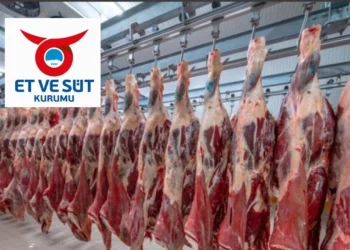 ESK kesime başladı! Yerli Simental, Alaca ve Angus kaç liradan kesiliyor?