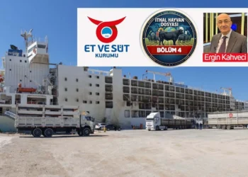 ESK’nın görevi kar etmek mi, piyasayı düzenlemek mi? İşte kanunda yazan görevleri