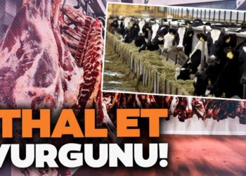 Fakirin Etine Göz Diktiler! AKP'li Yöneticiler Böyle Zengin Oldular! Paraguay'daki İthal Et Oyunu 1 Fakirin Etine Göz Diktiler! AKP’li Yöneticiler Böyle Zengin Oldular! Paraguay’daki İthal Et Oyunu