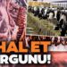 Fakirin Etine Göz Diktiler! AKP’li Yöneticiler Böyle Zengin Oldular! Paraguay’daki İthal Et Oyunu