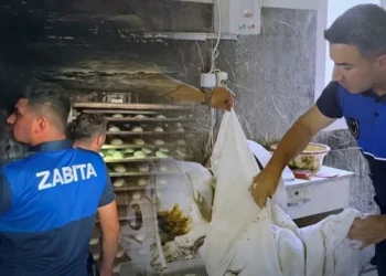 Fırın denetiminde mide bulandıran skandal: Hamurun içinden haşere çıktı