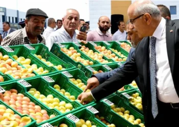 Kayısı üretimi ‘don’la ‘sıfır’a inse bile depodaki ürünle 250 milyon dolar geldi