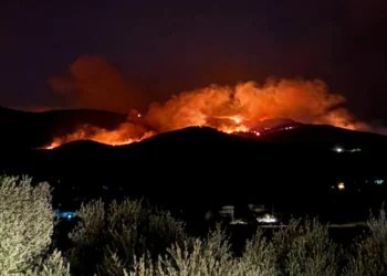Muğla’da alevler geceyi aydınlattı! Ekiplerin mücadelesi sürüyor