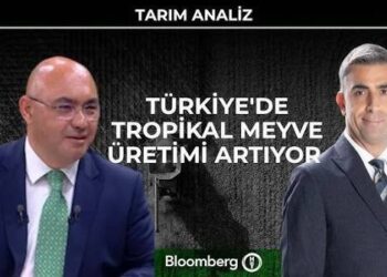 Tarım Analiz – Türkiye’de tropikal meyve üretimi artıyor