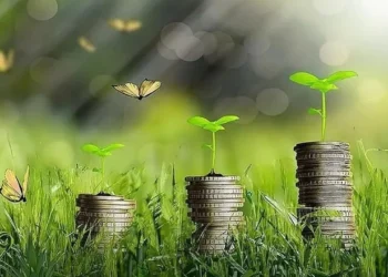 Yeşil dönüşümün Türkiye’ye yıllık maliyeti 25 milyar dolar