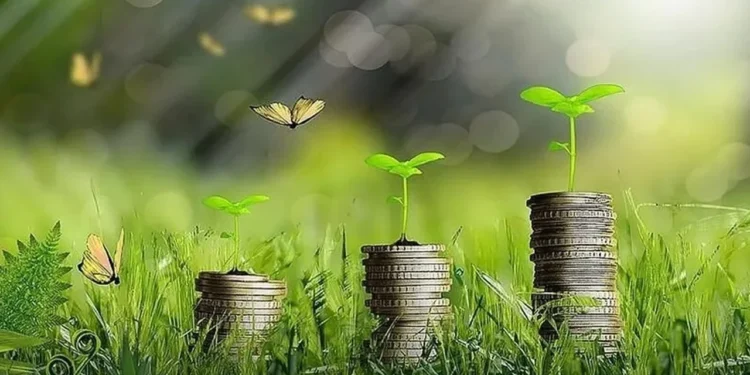 Yeşil dönüşümün Türkiye’ye yıllık maliyeti 25 milyar dolar 1 Yesil donusum