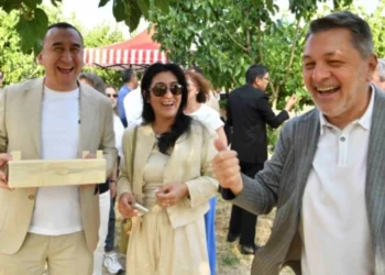 Ankara'da 18 bin meyve ağacının bulunduğu ATA Çiftliği'nde ilk hasat - Tarımdan Haber