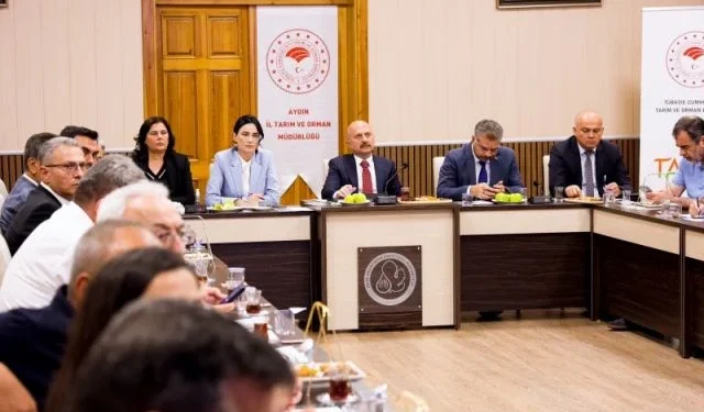 Aydın'da İncir Zirvesi: Kuru İncirde Kalite Seferberliği 1 Aydın'da İncir Zirvesi: Kuru İncirde Kalite Seferberliği - Tarım Pusulası