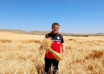 Bakan Yumaklı: Hububat Alımı 8,3 Milyon Tona Ulaştı - Tarım Pusulası