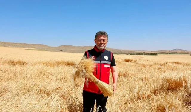 Bakan Yumaklı: Hububat Alımı 8,3 Milyon Tona Ulaştı 1 Bakan Yumaklı: Hububat Alımı 8,3 Milyon Tona Ulaştı - Tarım Pusulası